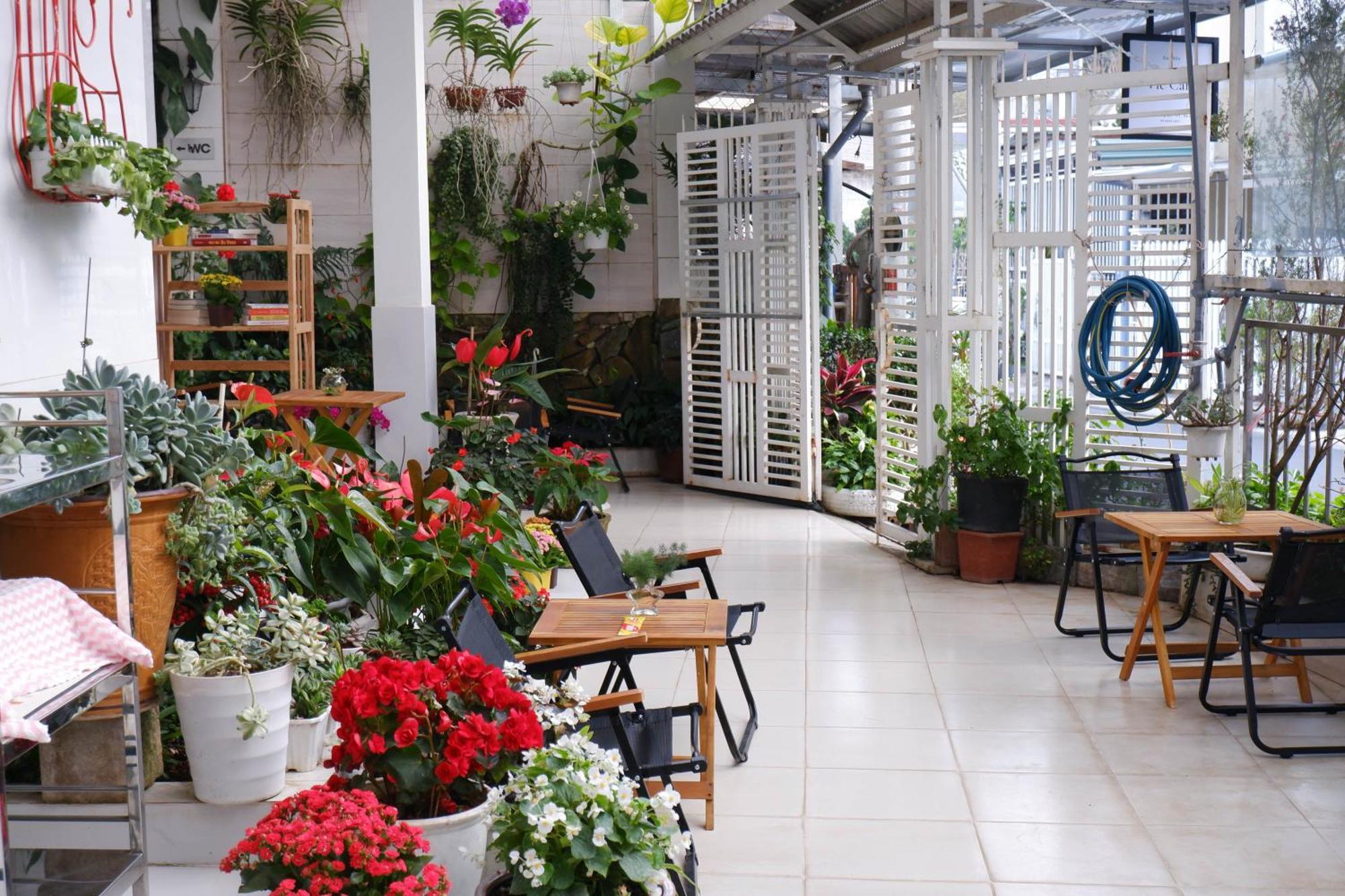 296 Cetete - Home In Dalat Екстер'єр фото